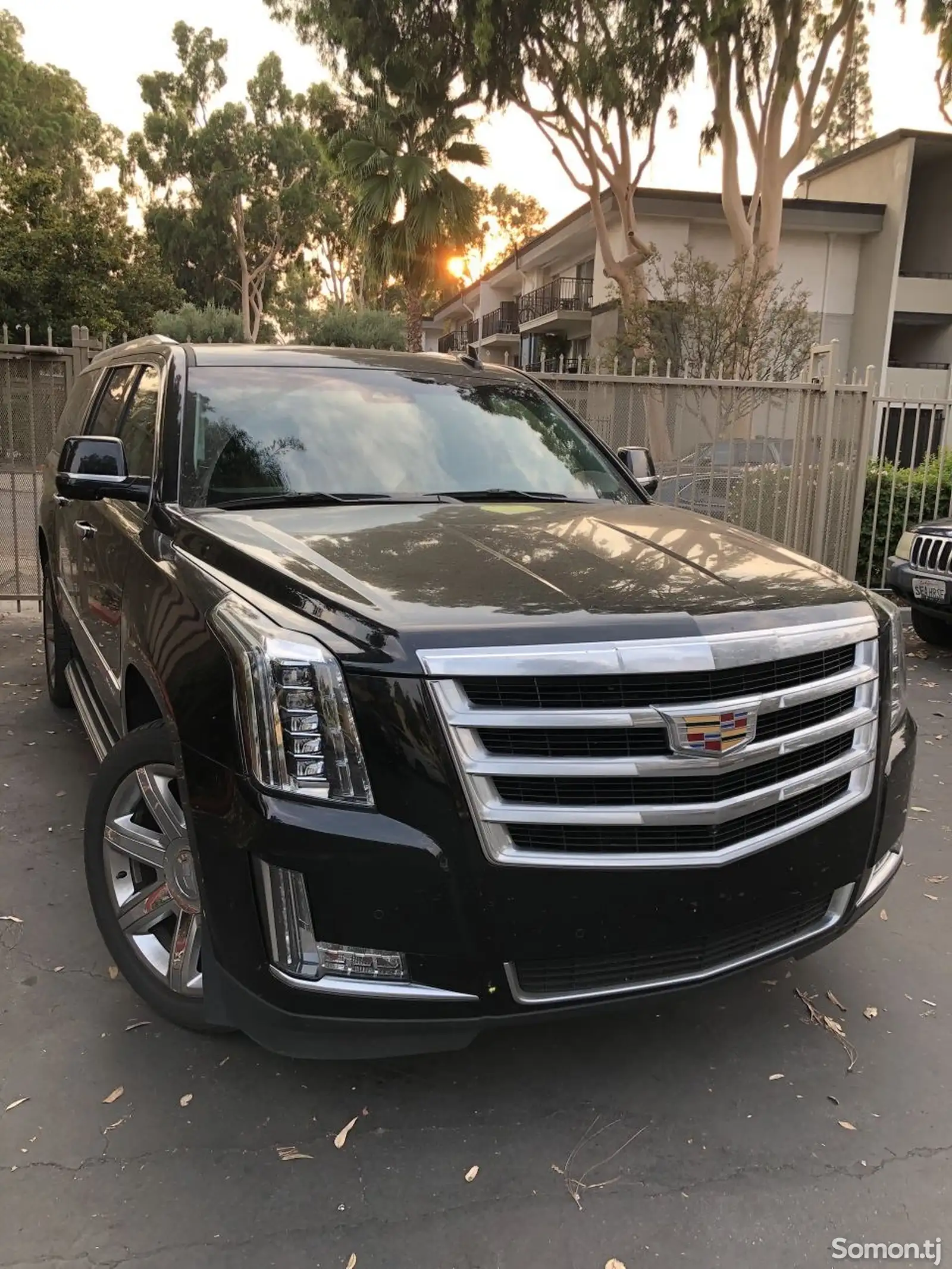 Cadillac, 2019