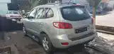 Hyundai Santa Fe, 2008-4