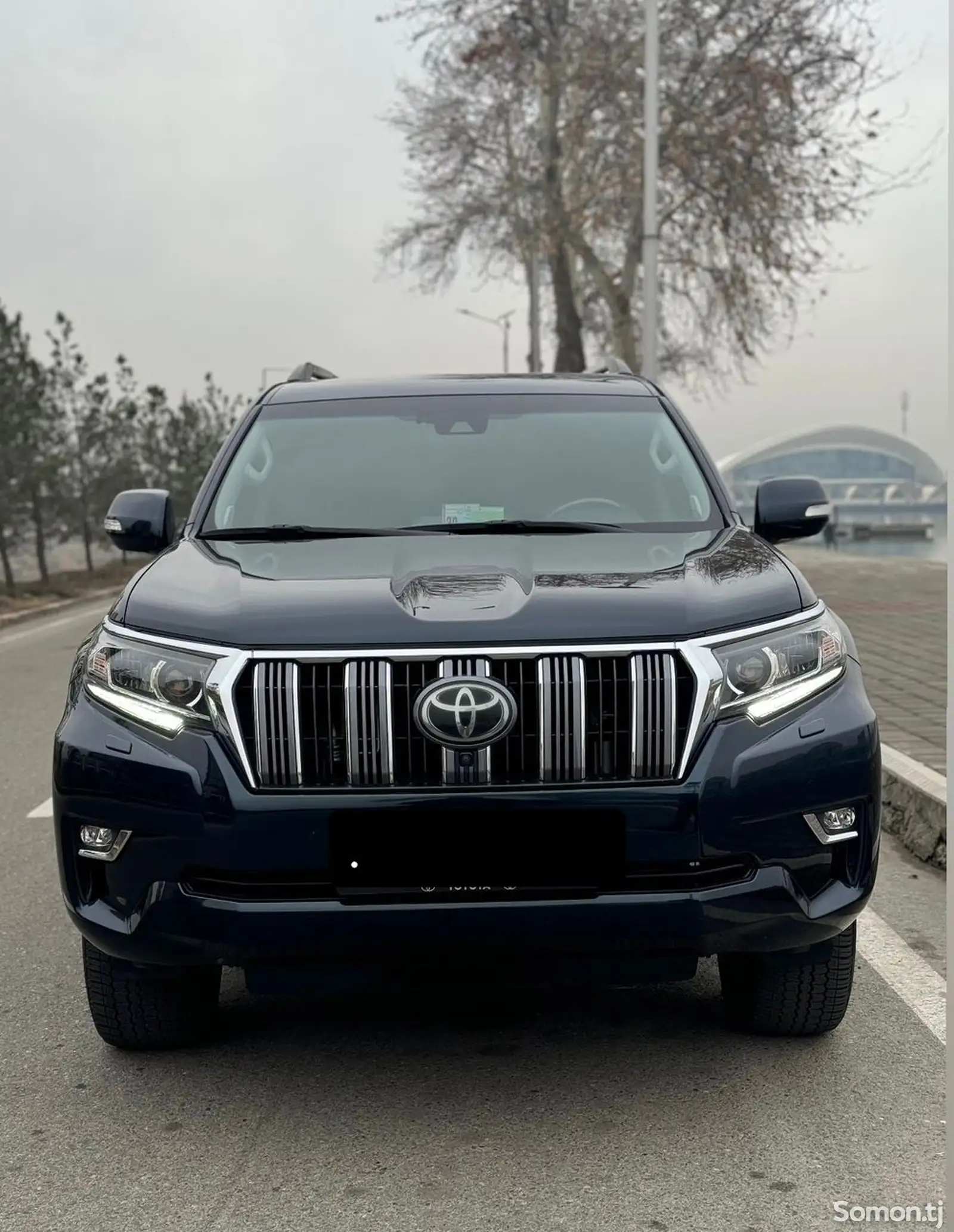 Toyota Land Cruiser Prado, 2019-1