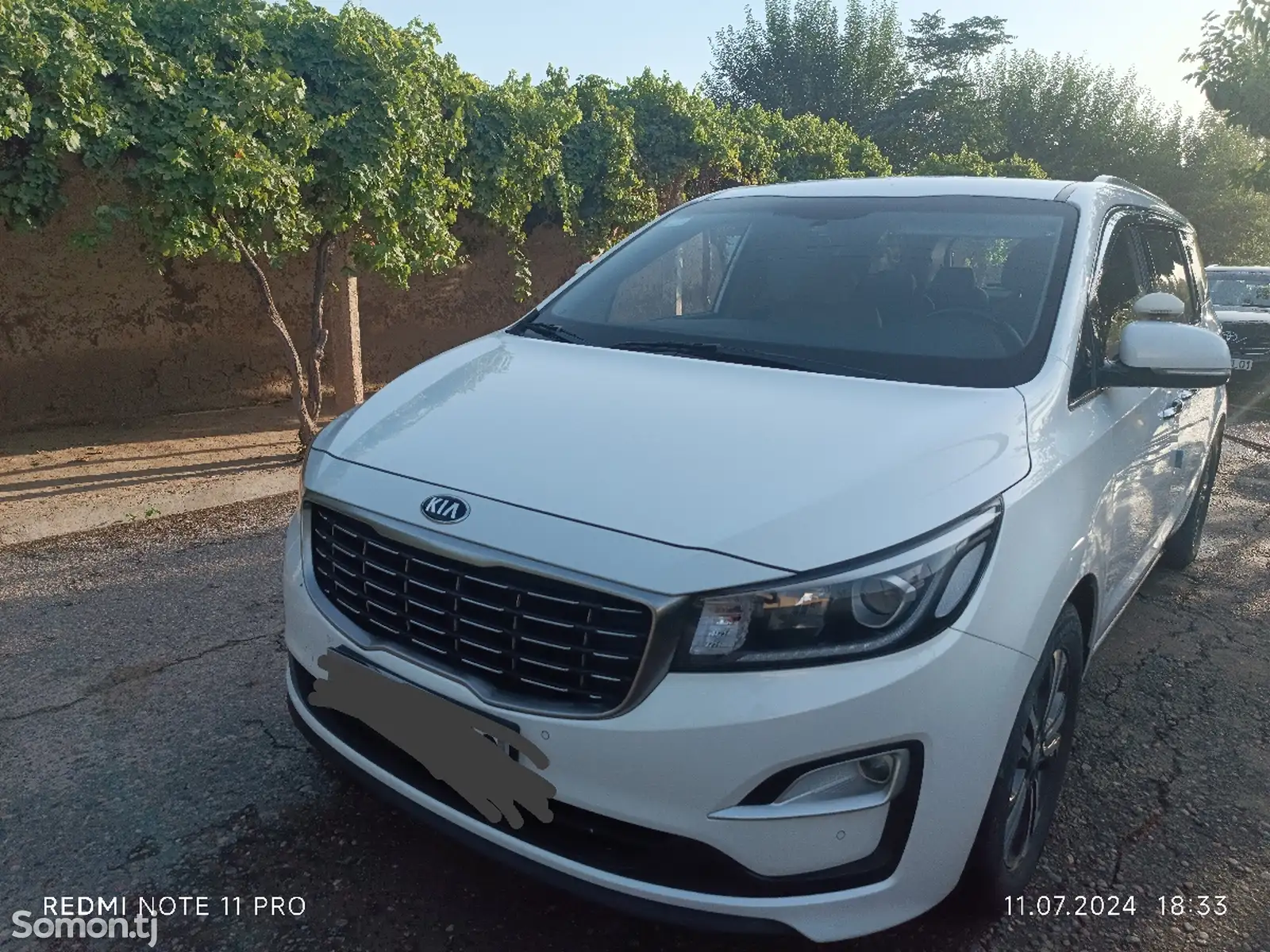 Kia Carnival, 2020-1