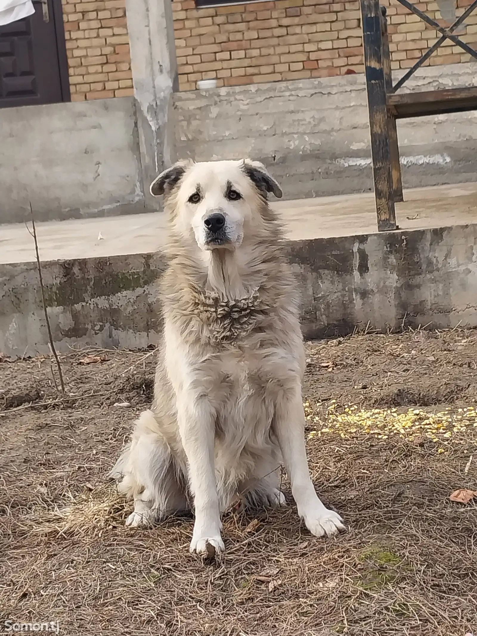 Кабель на вязку-1