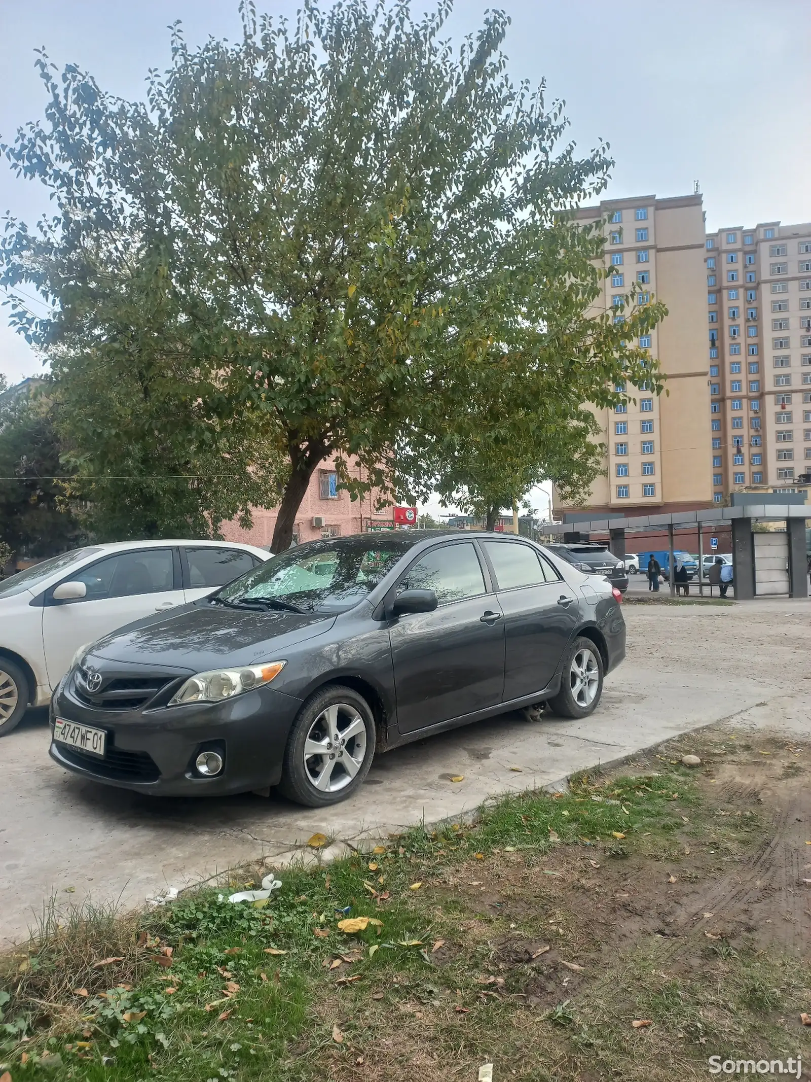 Toyota Corolla, 2011-1