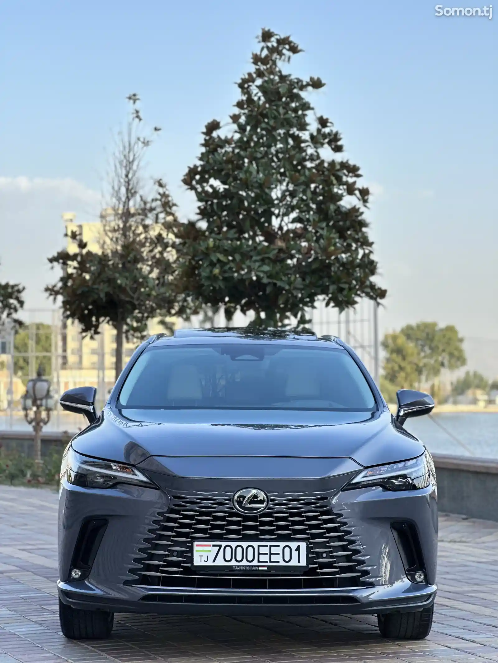 Lexus RX series, 2023-2