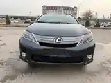 Lexus HS series, 2010-2