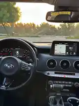 Kia Stinger, 2018-8