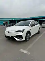 BYD Другие модели, 2024-3