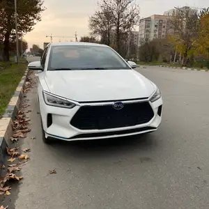 BYD E3, 2020