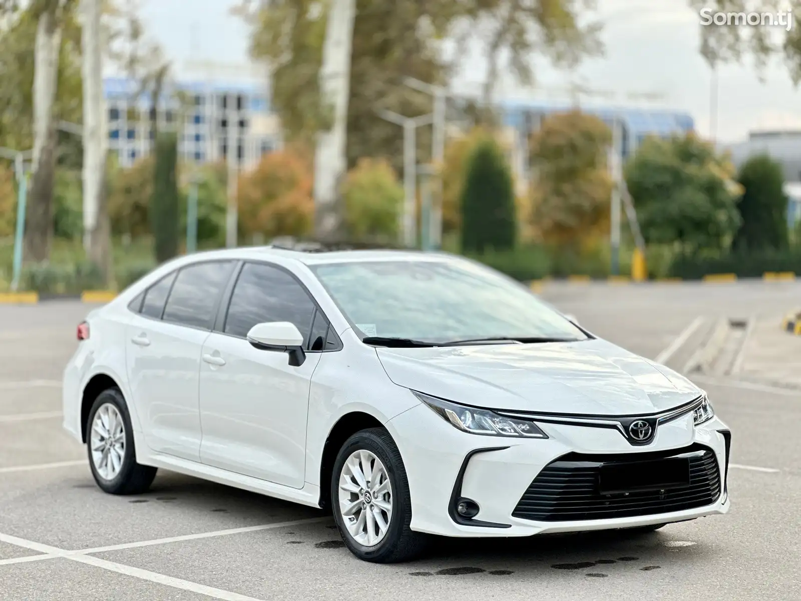 Toyota Corolla, 2023-1