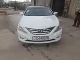 Hyundai Sonata, 2010-7