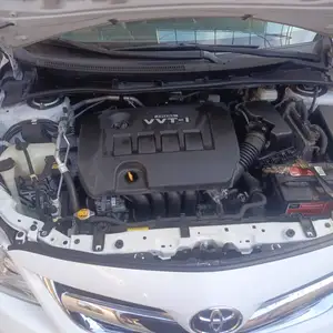 Toyota Corolla, 2011