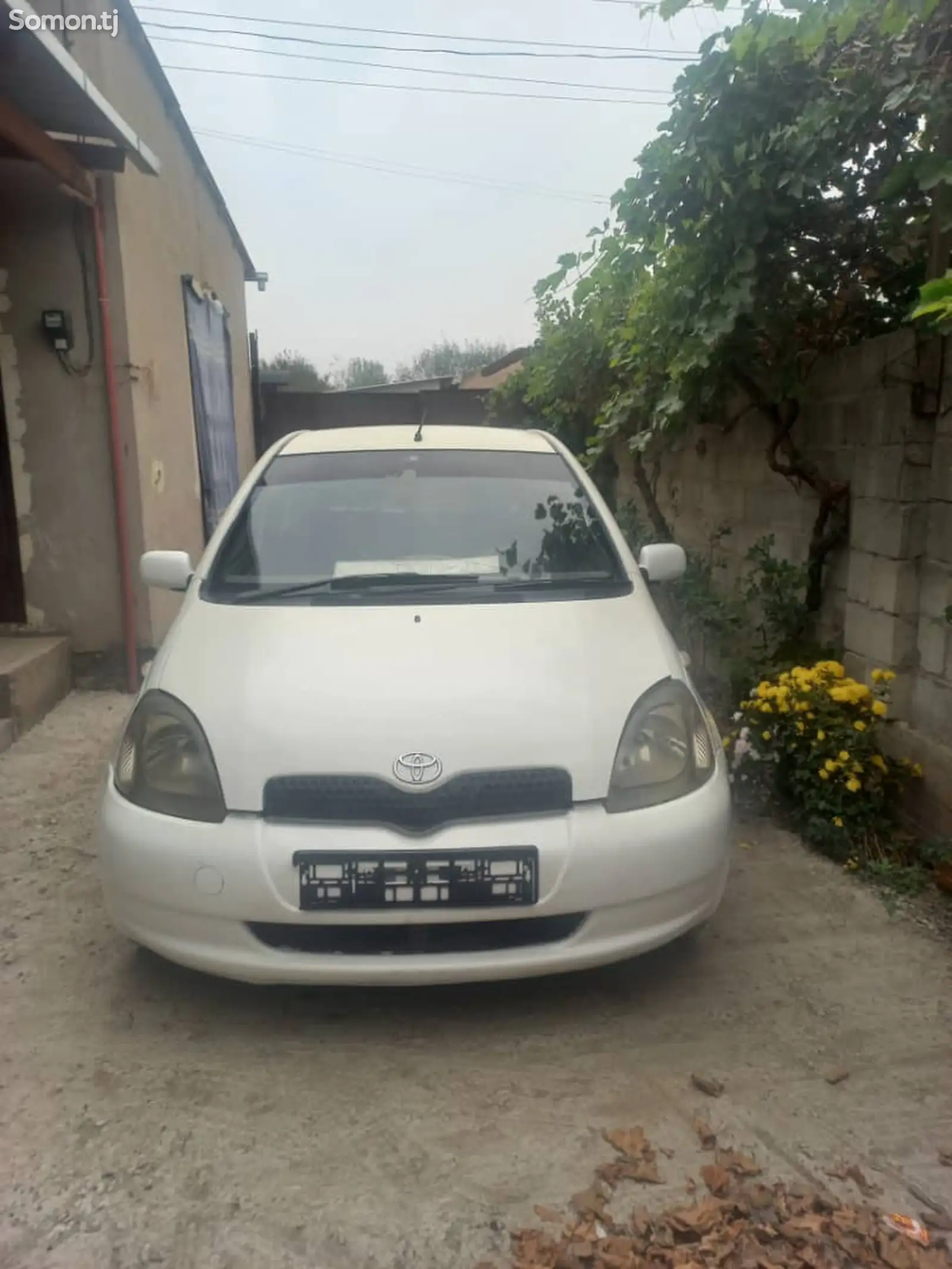 Toyota Vitz, 2001-1