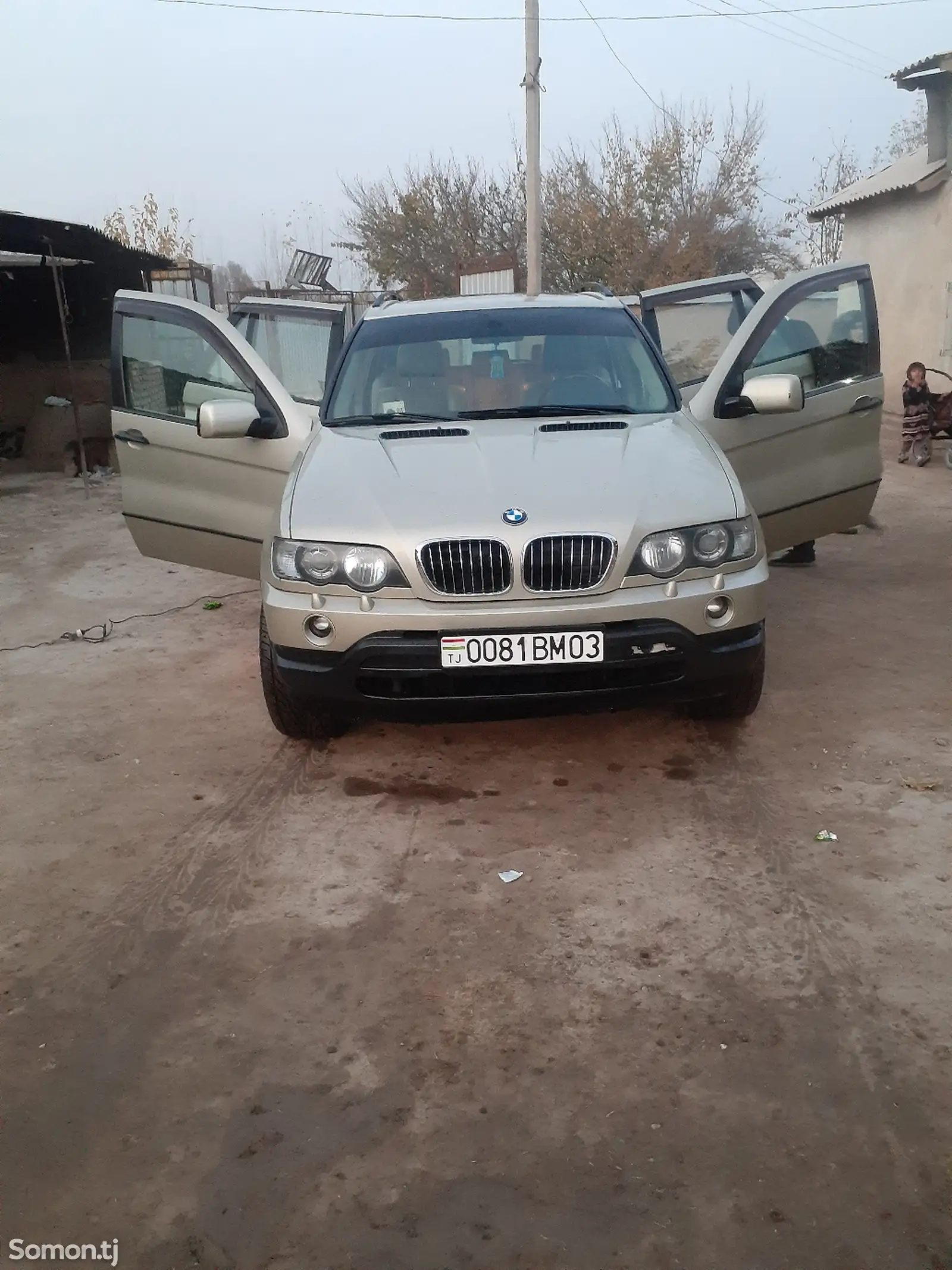 BMW X5, 2000-1