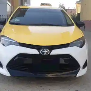 Toyota Corolla, 2019