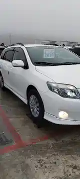 Toyota Fielder, 2010-3