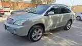 Lexus RX series, 2007-4