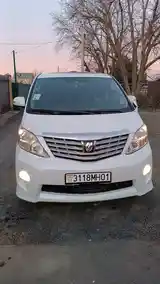 Toyota Alphard, 2010-8