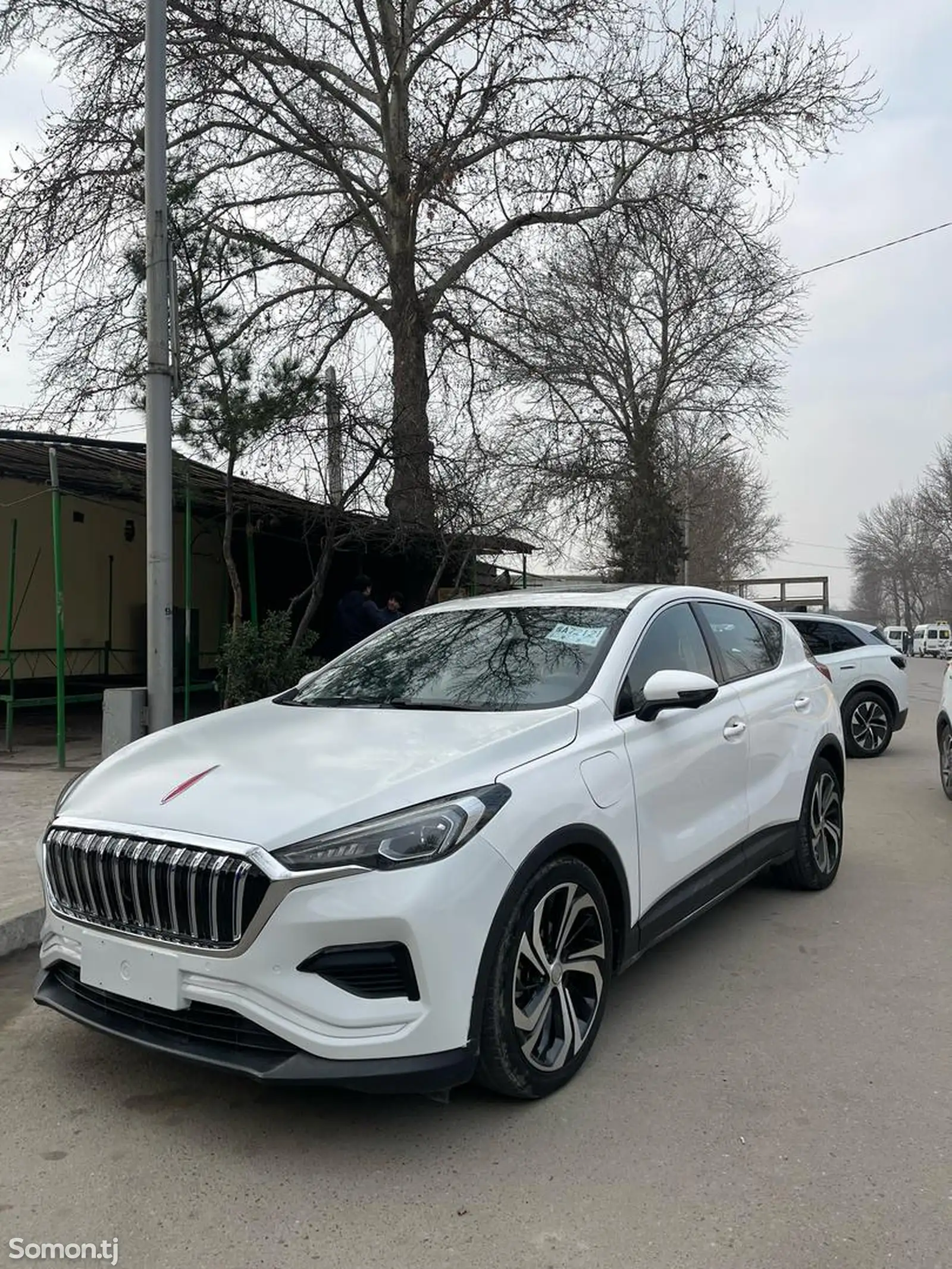 Hongqi HS3, 2019-1