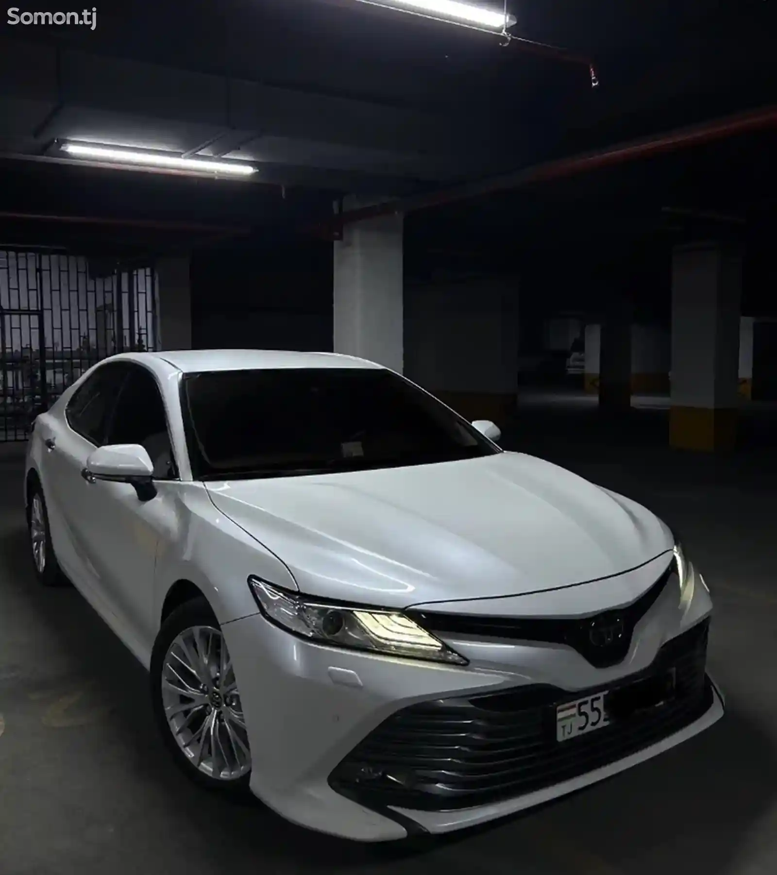 Toyota Camry, 2019-1