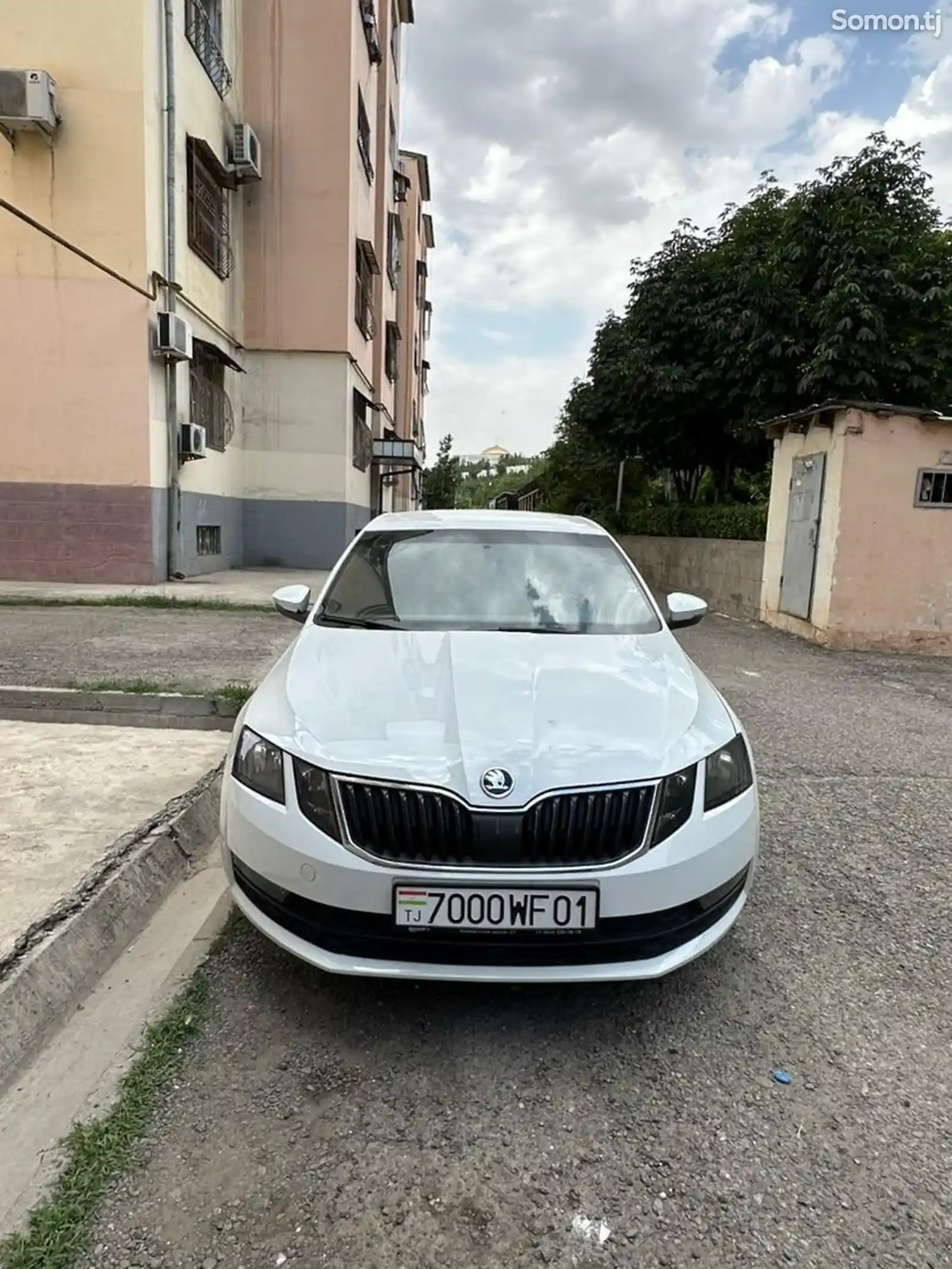 Skoda Octavia, 2019-1