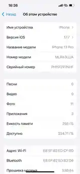 Apple iPhone 13 Pro, 256 gb, Alpine Green-4