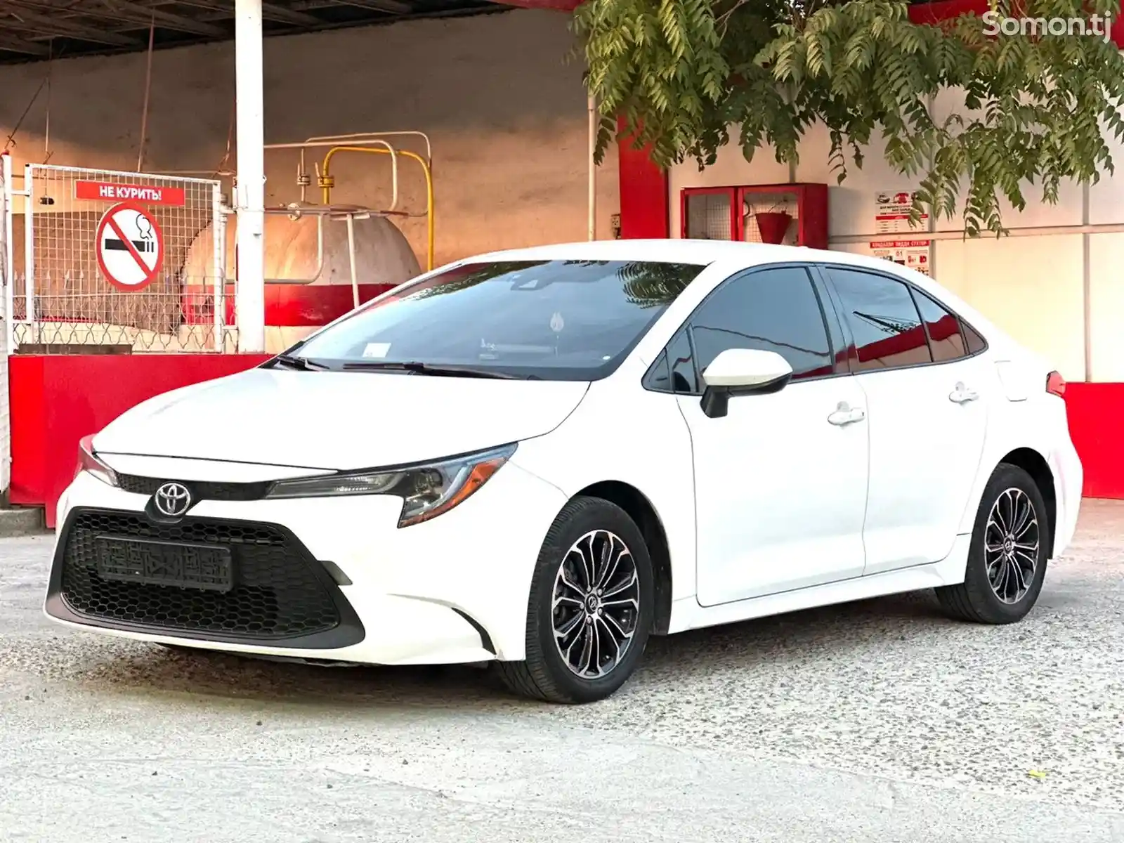 Toyota Corolla, 2020-1