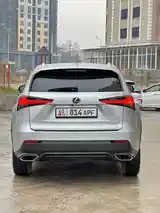 Lexus NX series, 2018-5