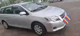 Toyota Fielder, 2007-2