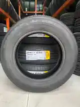 Шины 195/65 R15 Glede-3