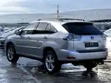 Lexus RX series, 2009-3