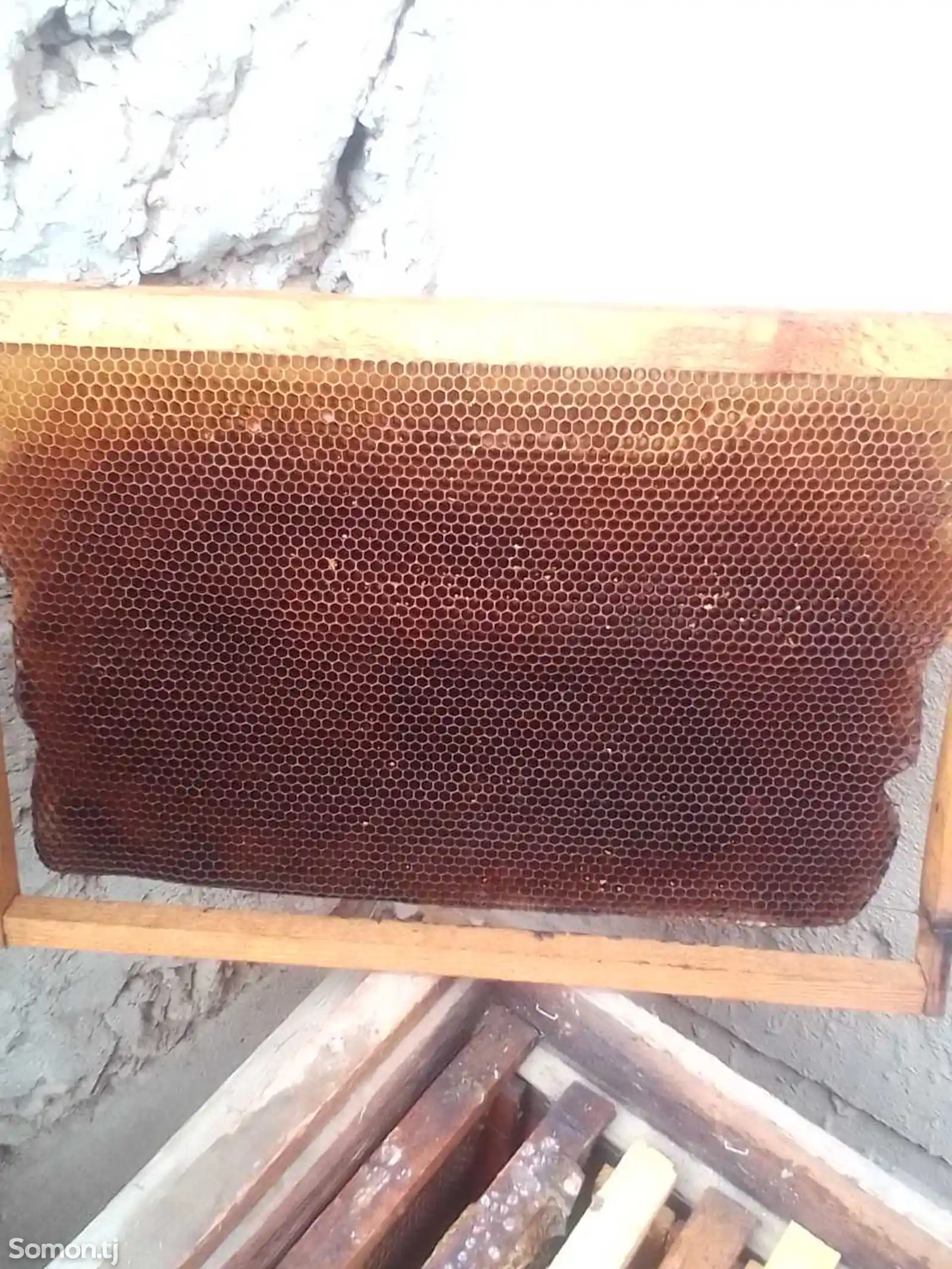 Пчелиная рамка-1