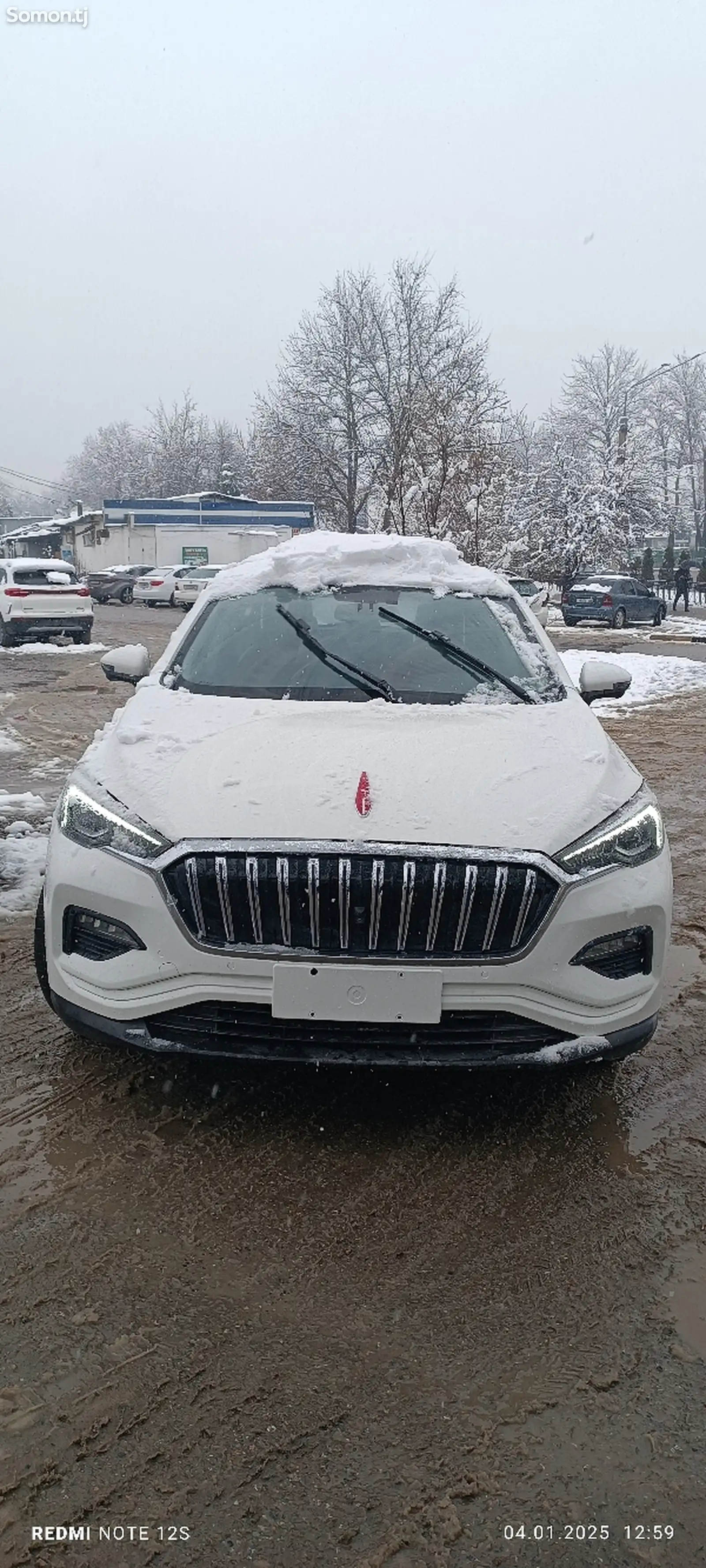 Hongqi E-HS3, 2019