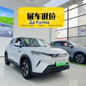 BYD Yuan Up, 2024 на заказ