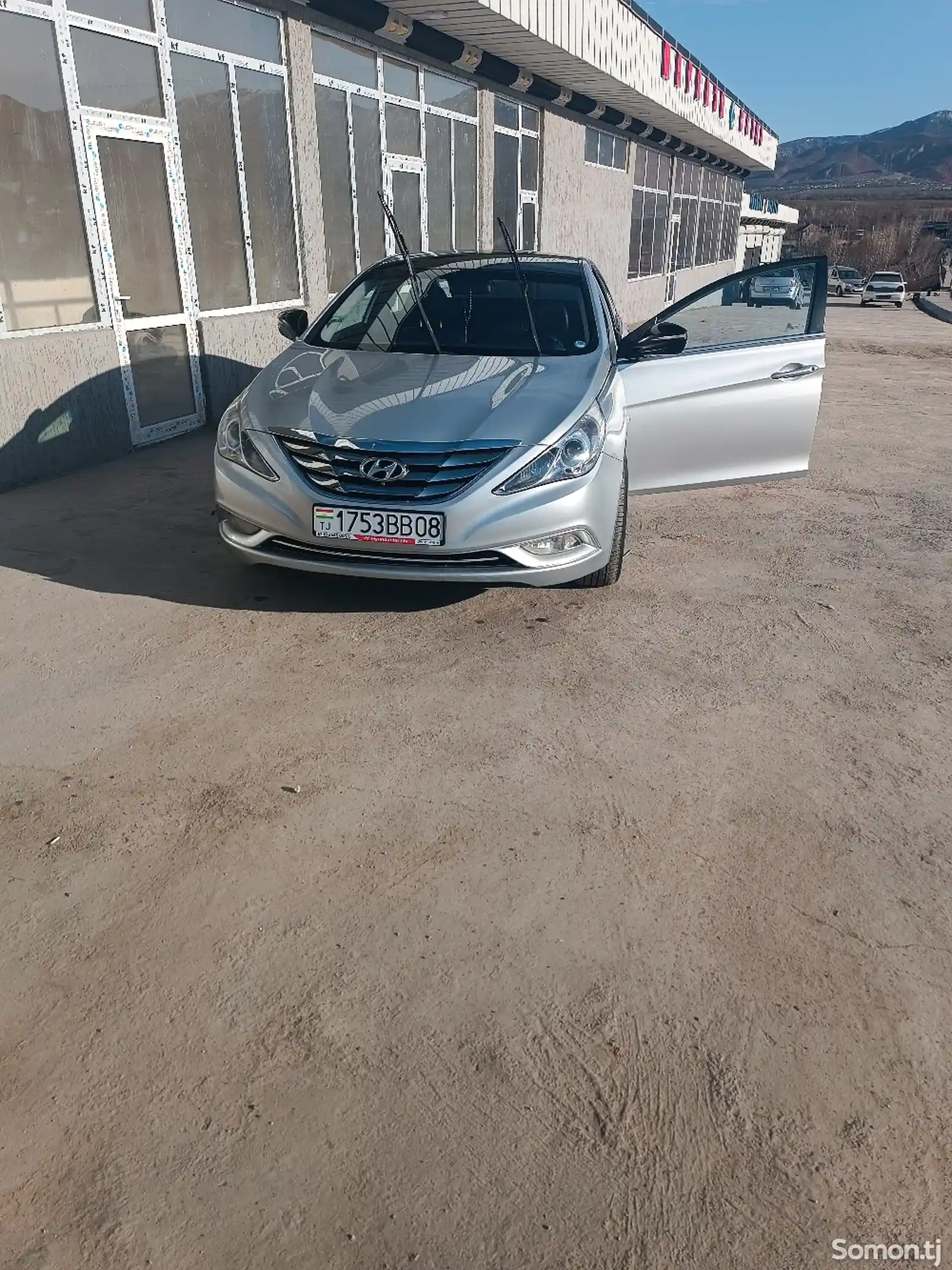 Hyundai Sonata, 2010-3