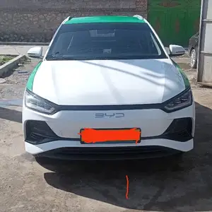 BYD B2, 2024