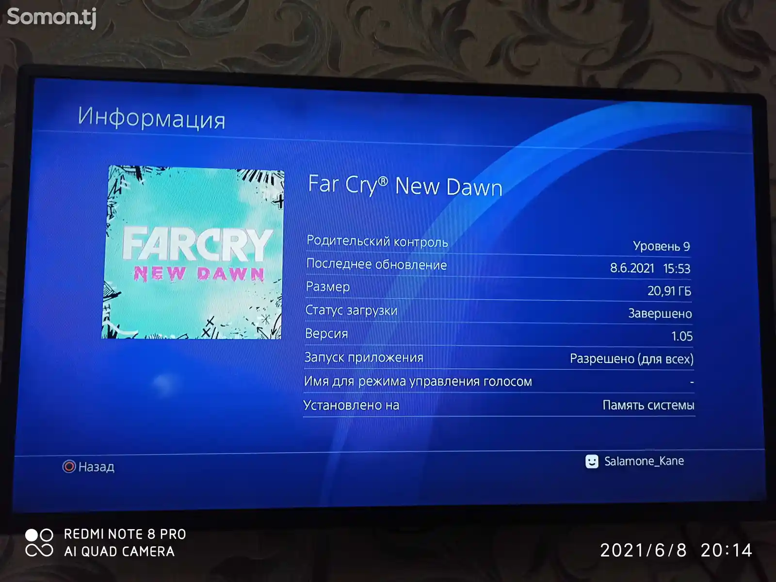 Игра Far Cry New Dawn для PS4-3