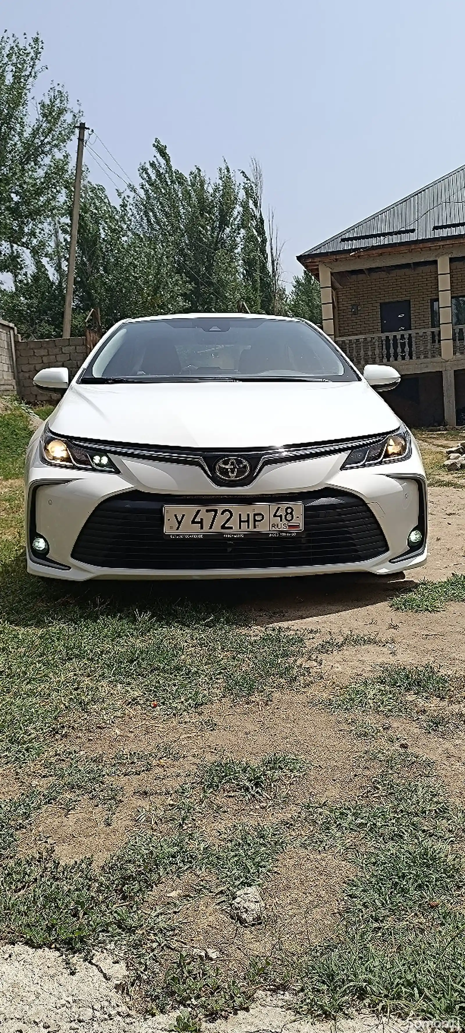 Toyota Corolla, 2019-1