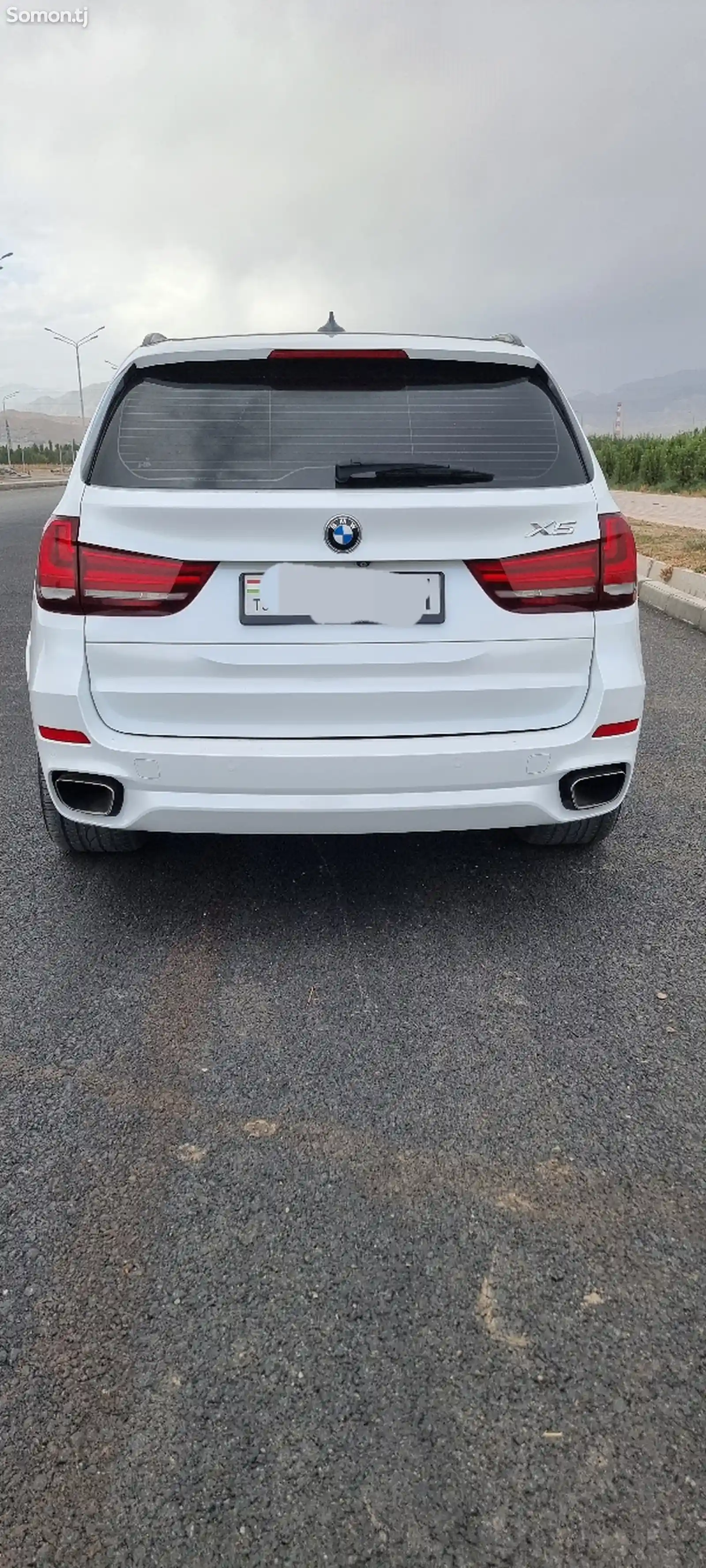 BMW X5, 2017-13