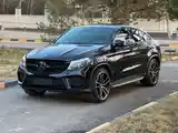 Mercedes-Benz GLE class, 2016-5