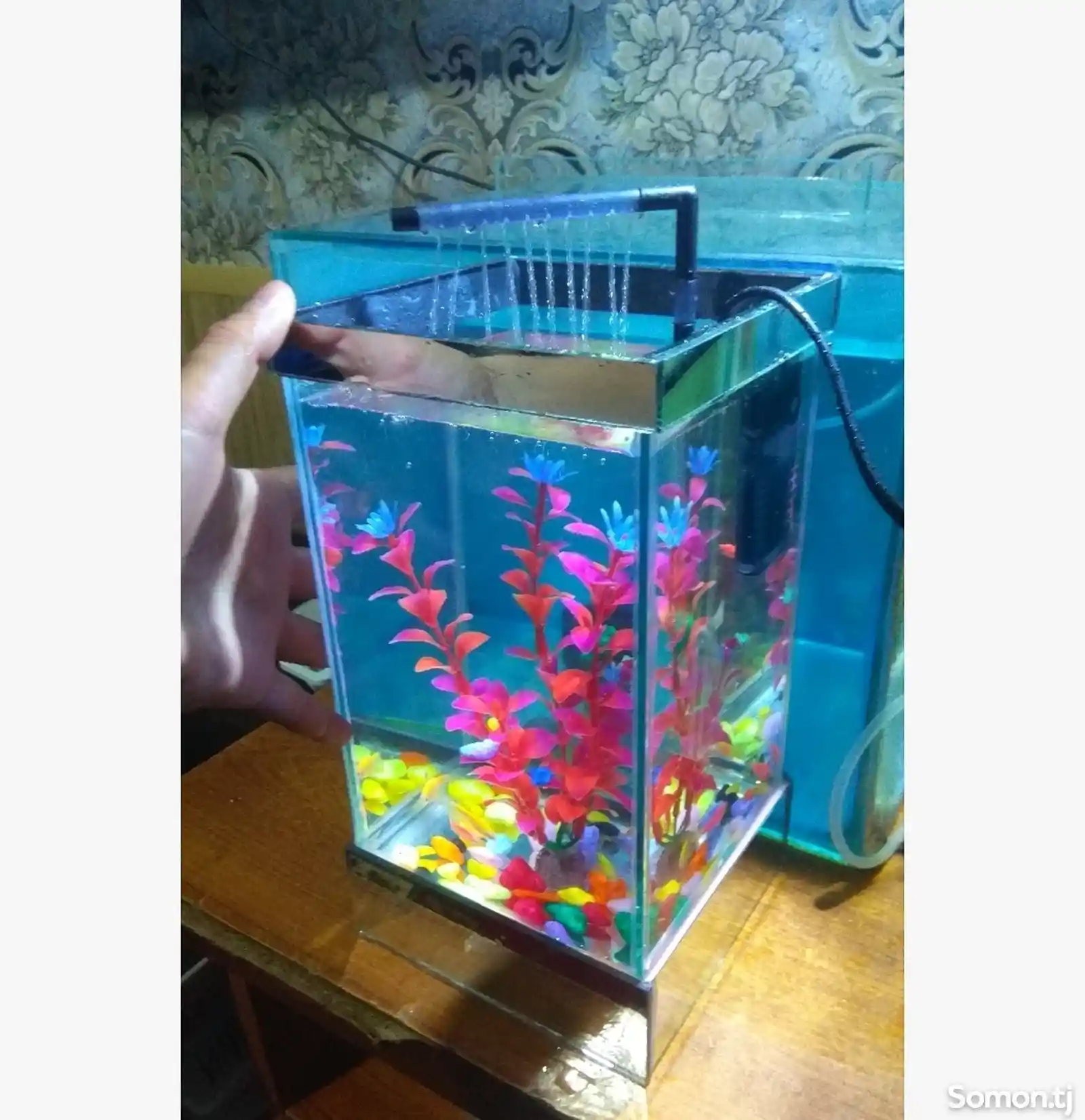 Комплект мини аквариум подарочный 4л-3