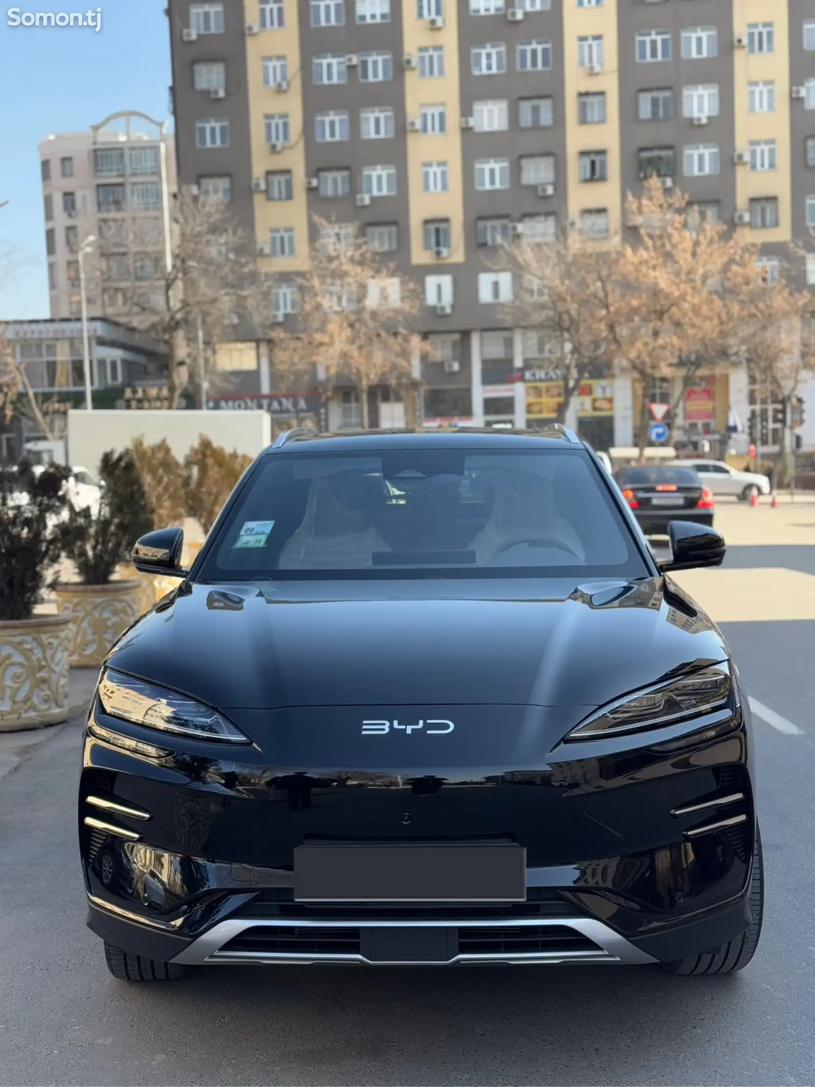 BYD Song Plus Flagship, 2024-1