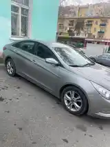 Hyundai Sonata, 2010-3