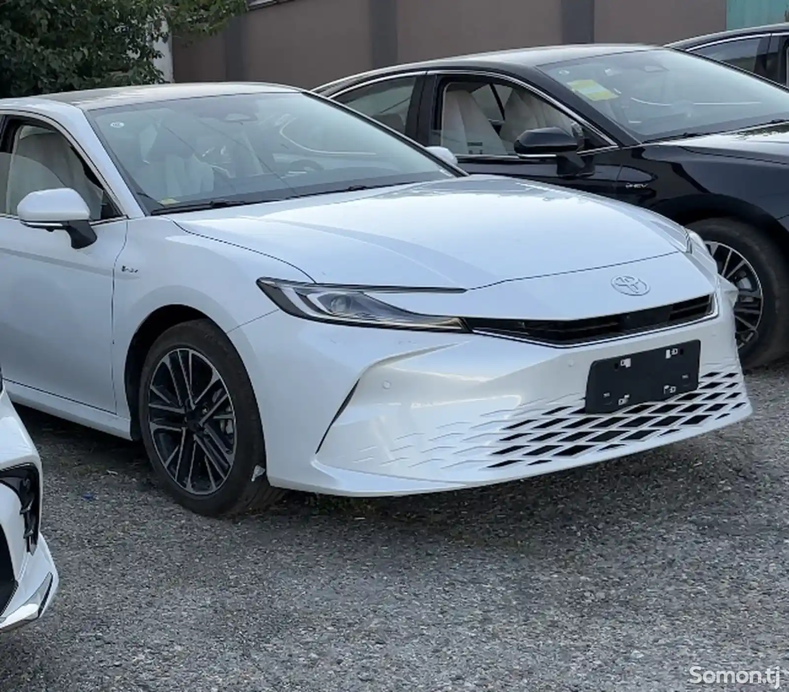 Toyota Camry, 2024-1