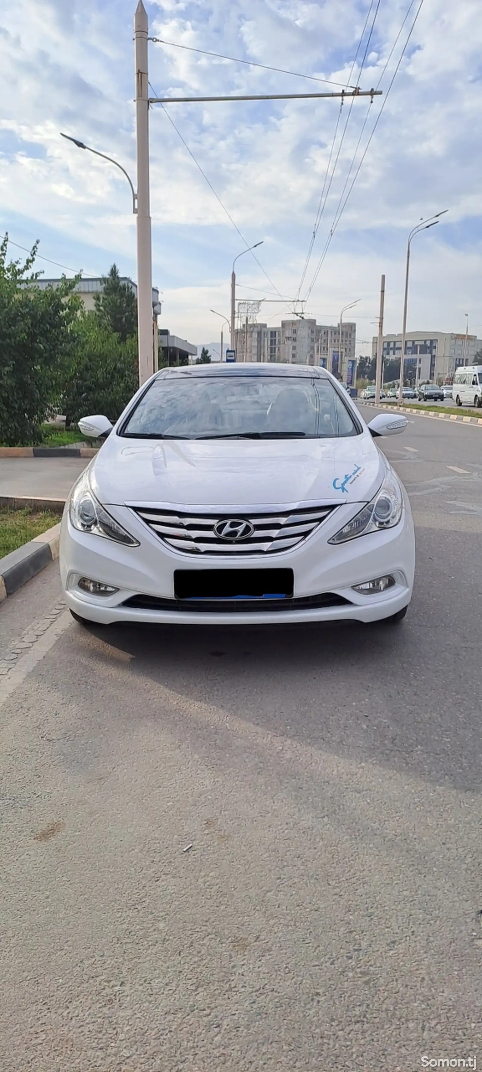 Hyundai Sonata, 2010-1