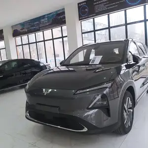 Wuling Starlight, 2024