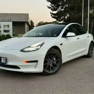 Tesla Model 3, 2023