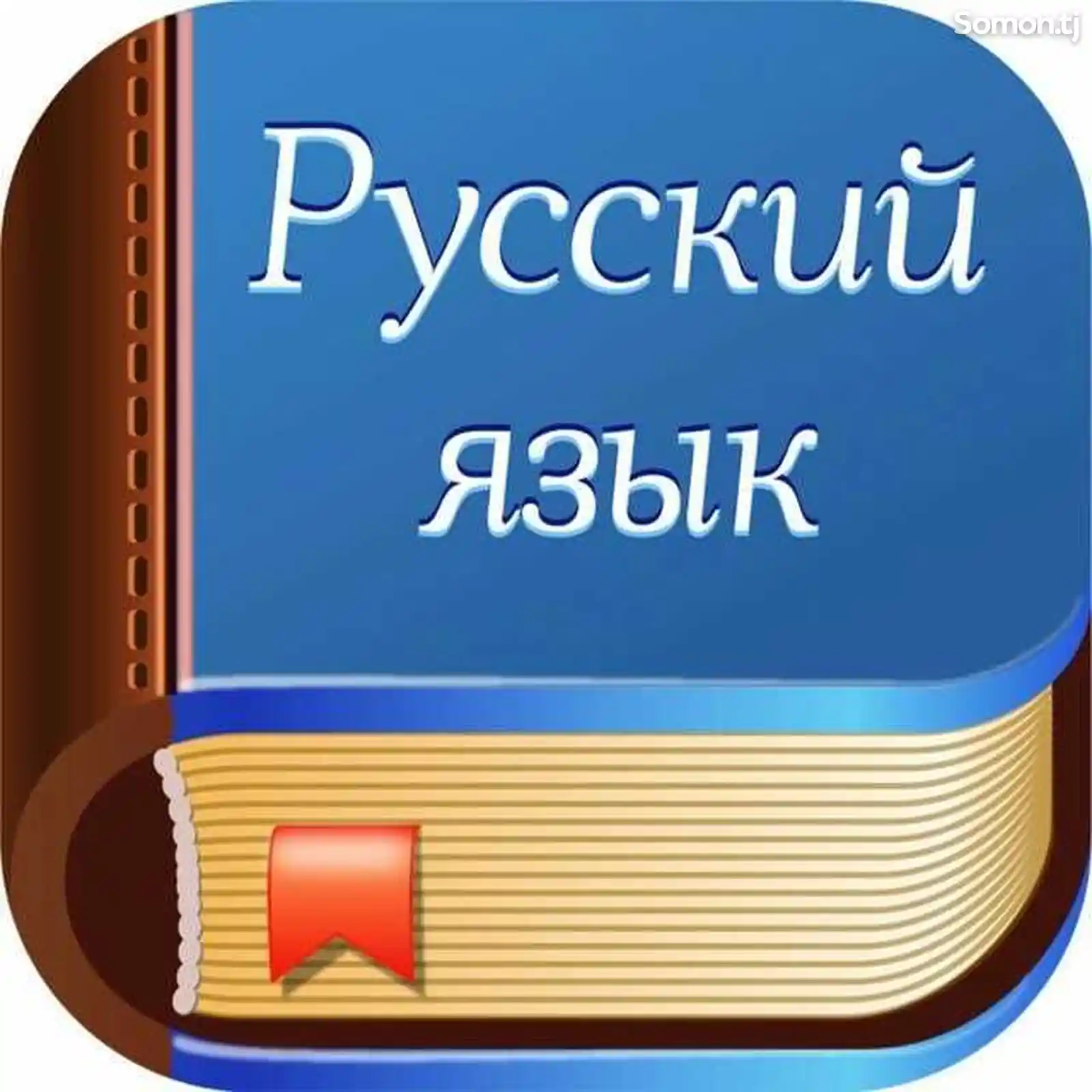 Индивидуальные занятия по русскому языку