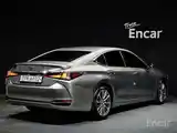 Lexus ES series, 2019-2