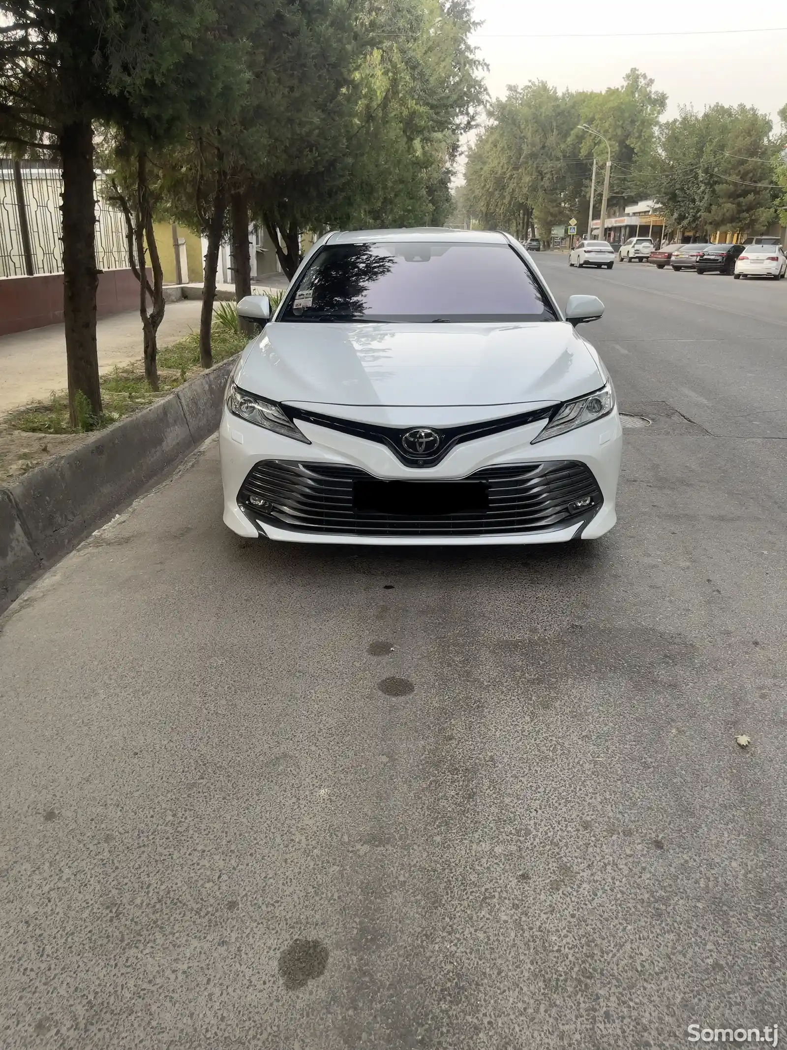 Toyota Camry, 2019-1