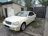 Mercedes-Benz C class, 2000-4