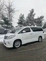 Toyota Vellfire, 2010-3